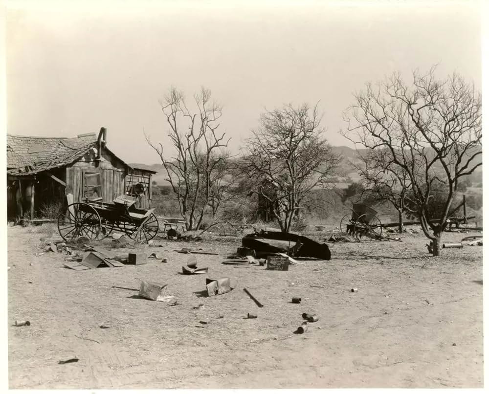 かぼちゃ大当りの画像