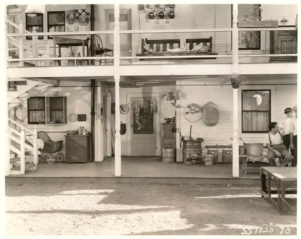 かぼちゃ大当りの画像