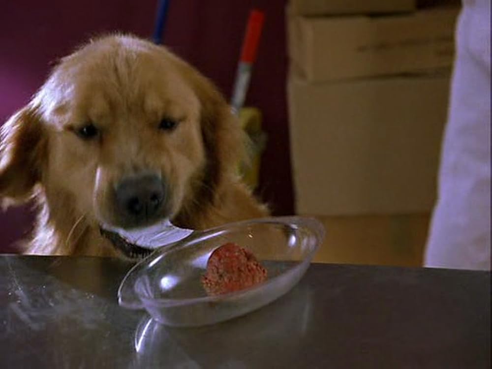 2002 ワンワンカップの画像