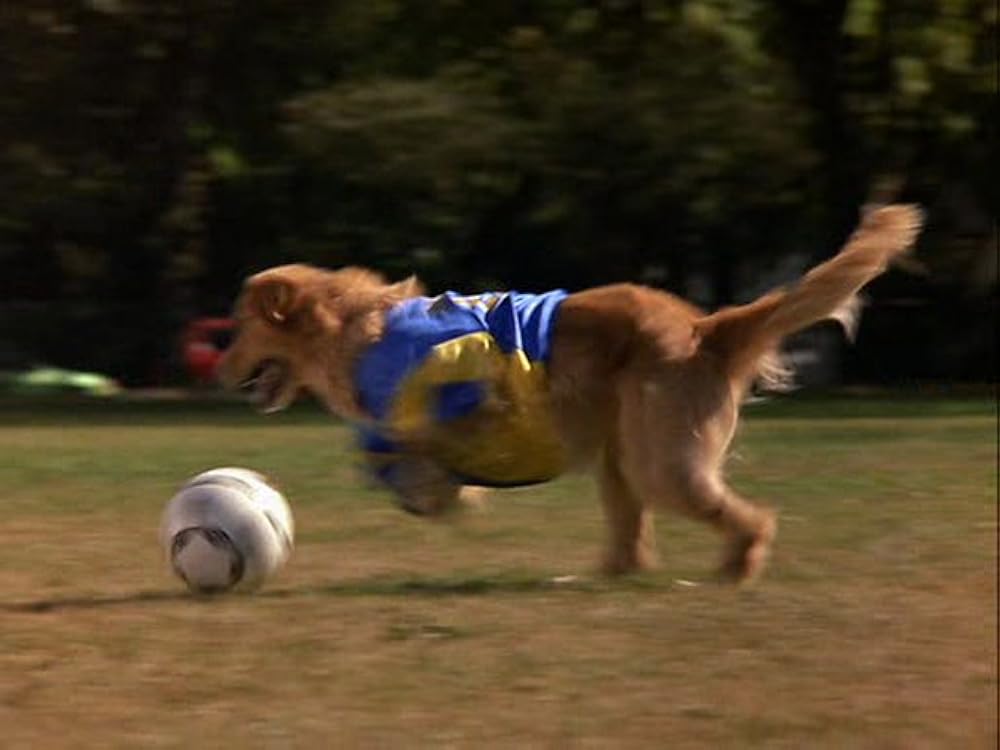 2002 ワンワンカップの画像