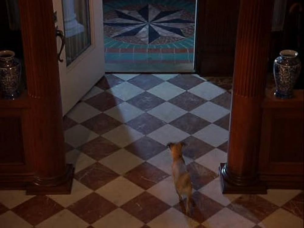 2002 ワンワンカップの画像