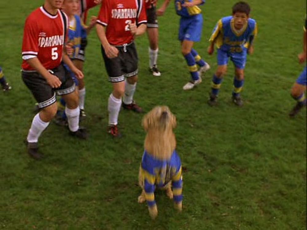 2002 ワンワンカップの画像