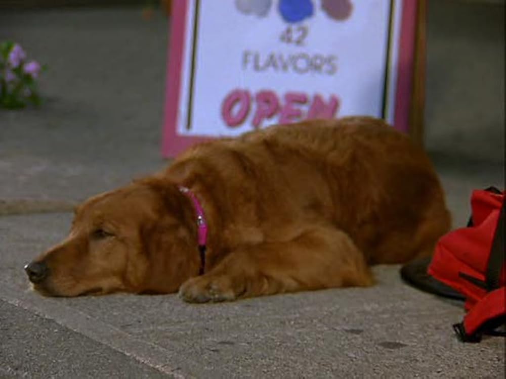 2002 ワンワンカップの画像