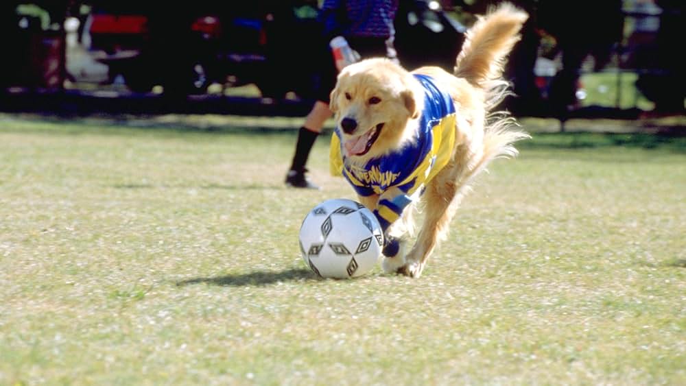 「2002 ワンワンカップ」の画像