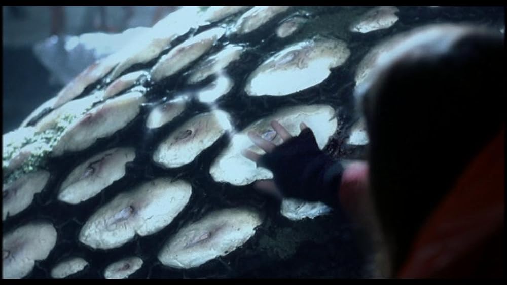 アライバル ファイナル・コンタクトの画像