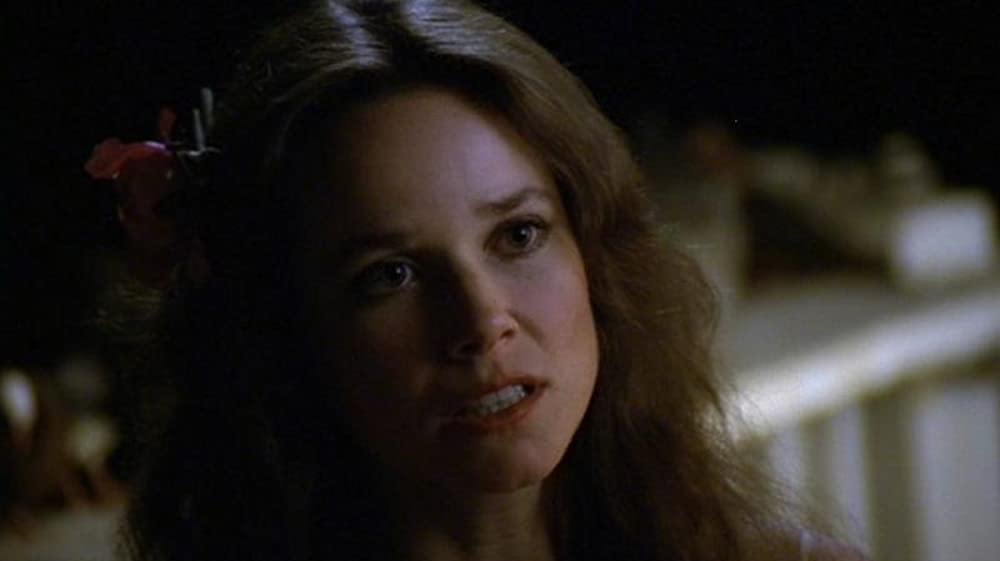 「スタントマン」バーバラ・ハーシーの画像