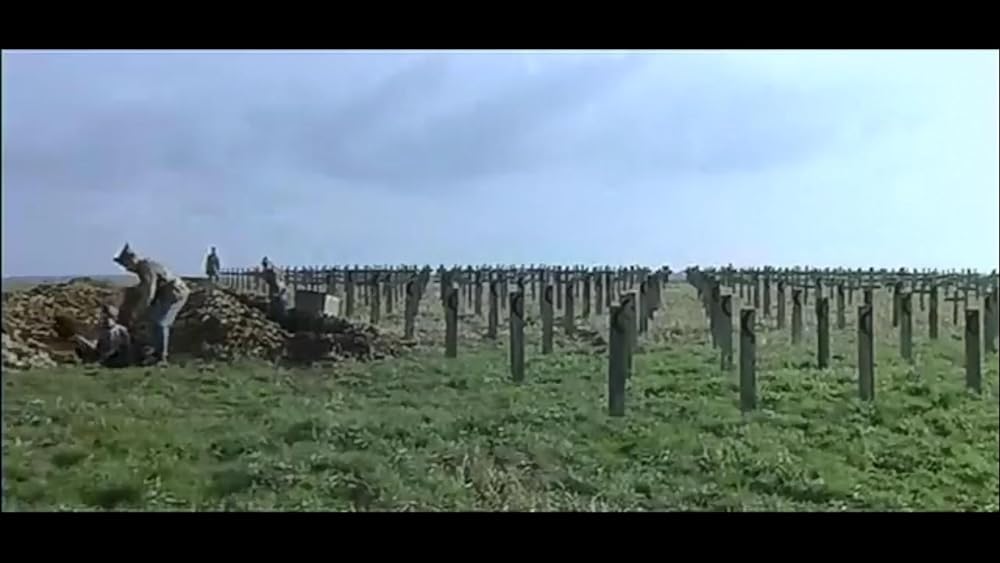 素顔の貴婦人の画像