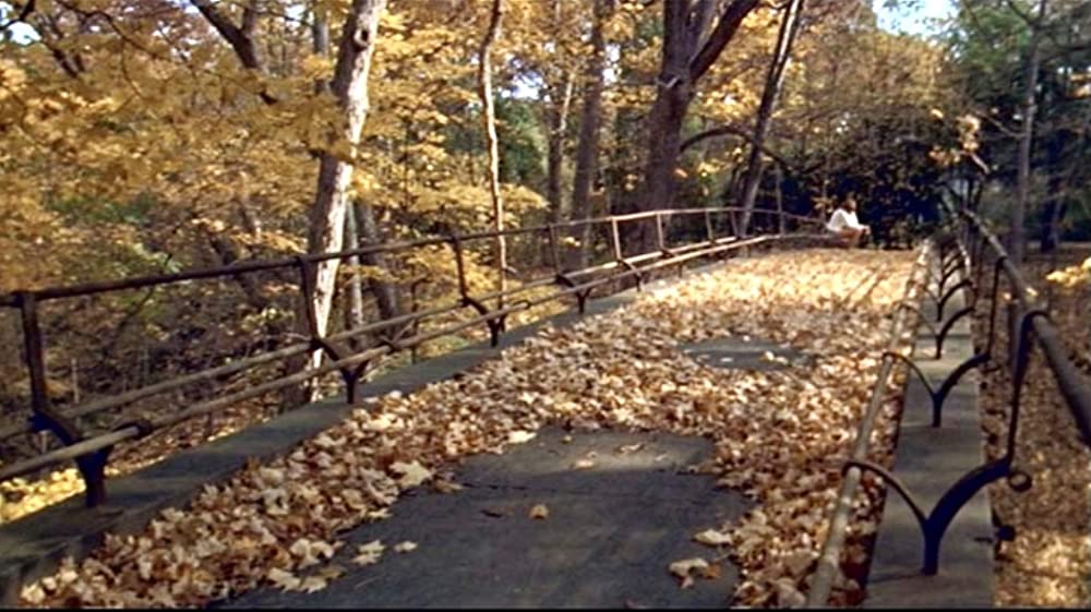 「普通の人々」の画像