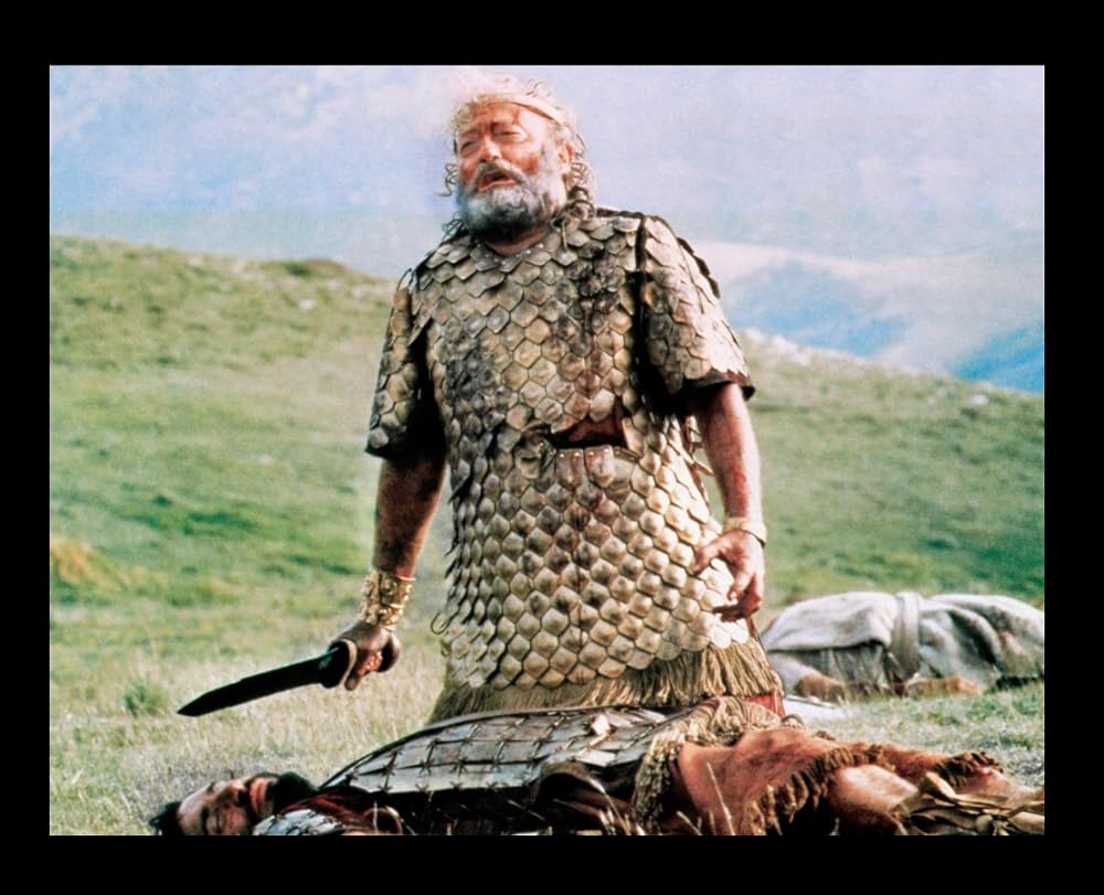 キング・ダビデ／愛と闘いの伝説の画像