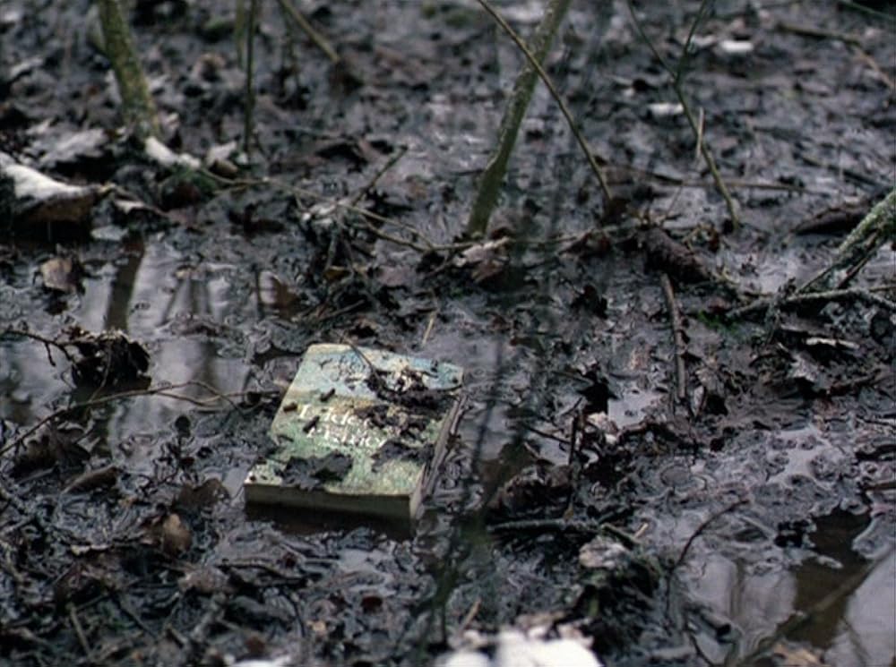 フォーエヴァー・モーツアルトの画像