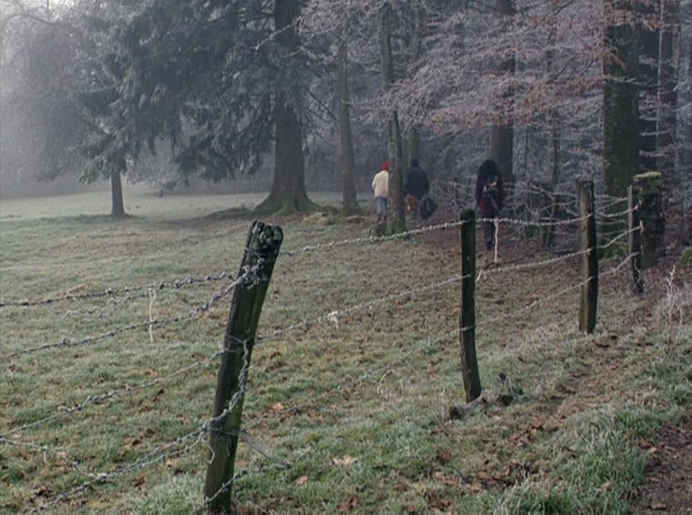 フォーエヴァー・モーツアルトの画像