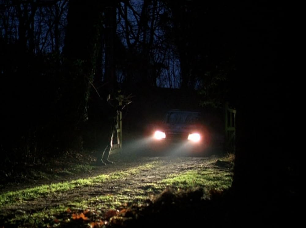 フォーエヴァー・モーツアルトの画像