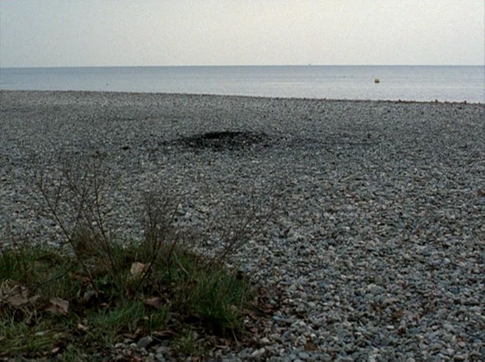 フォーエヴァー・モーツアルトの画像