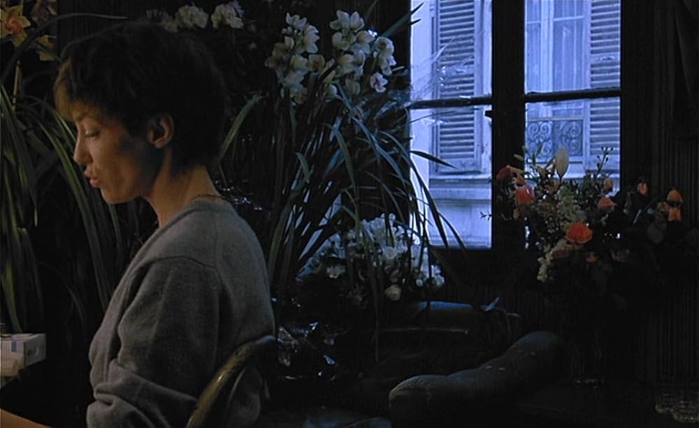 アニエス・Vによるジェーン・bの画像