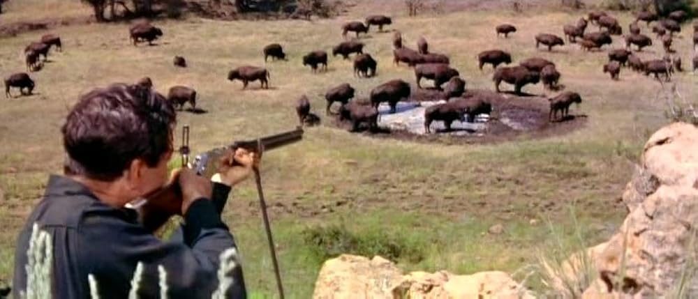 最後の銃撃の画像