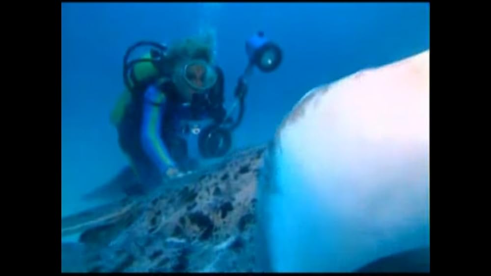 ワンダー・アンダー・ウォーター 原色の海の画像