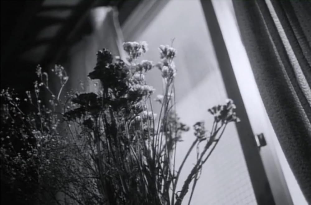 午前中の時間割りの画像