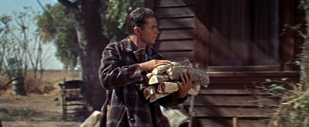 地獄の戦線の画像