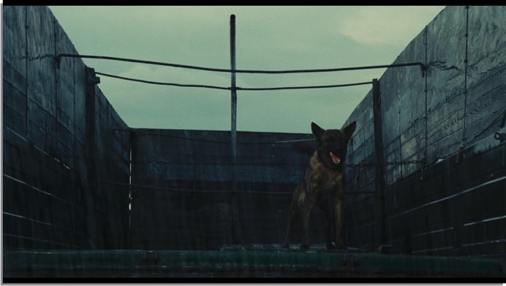 フェリーニのローマの画像