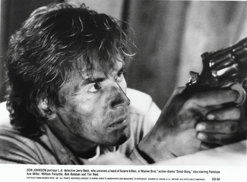 サンタモニカ・ダンディの画像