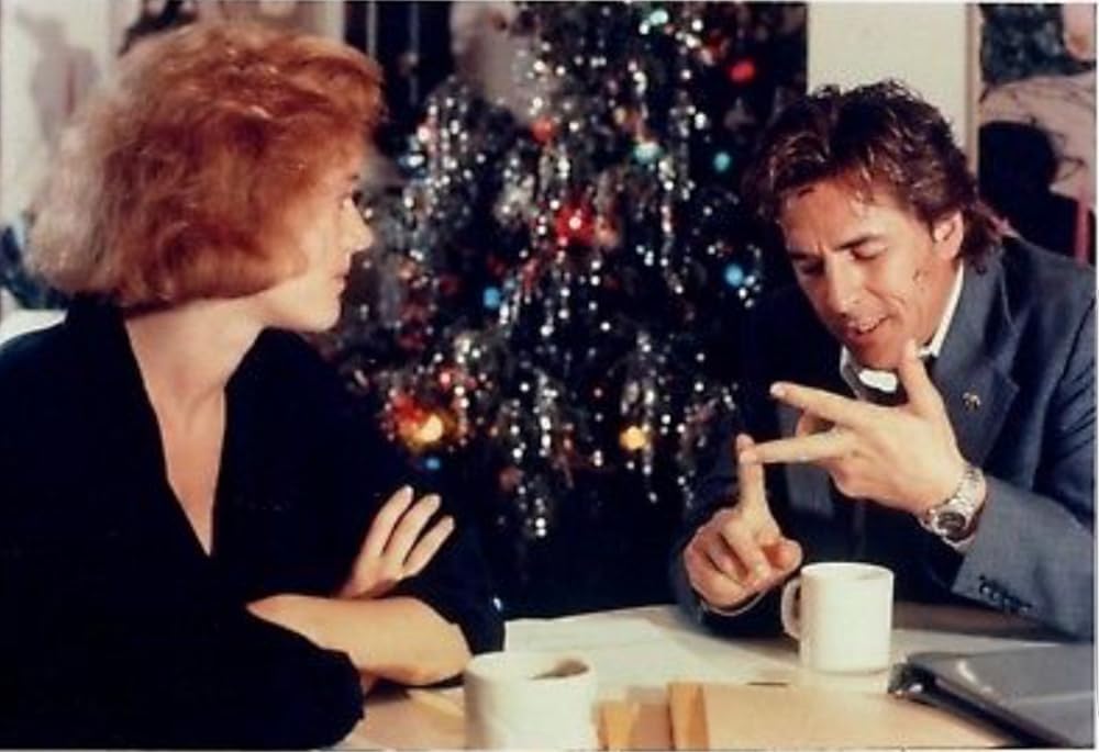 サンタモニカ・ダンディの画像