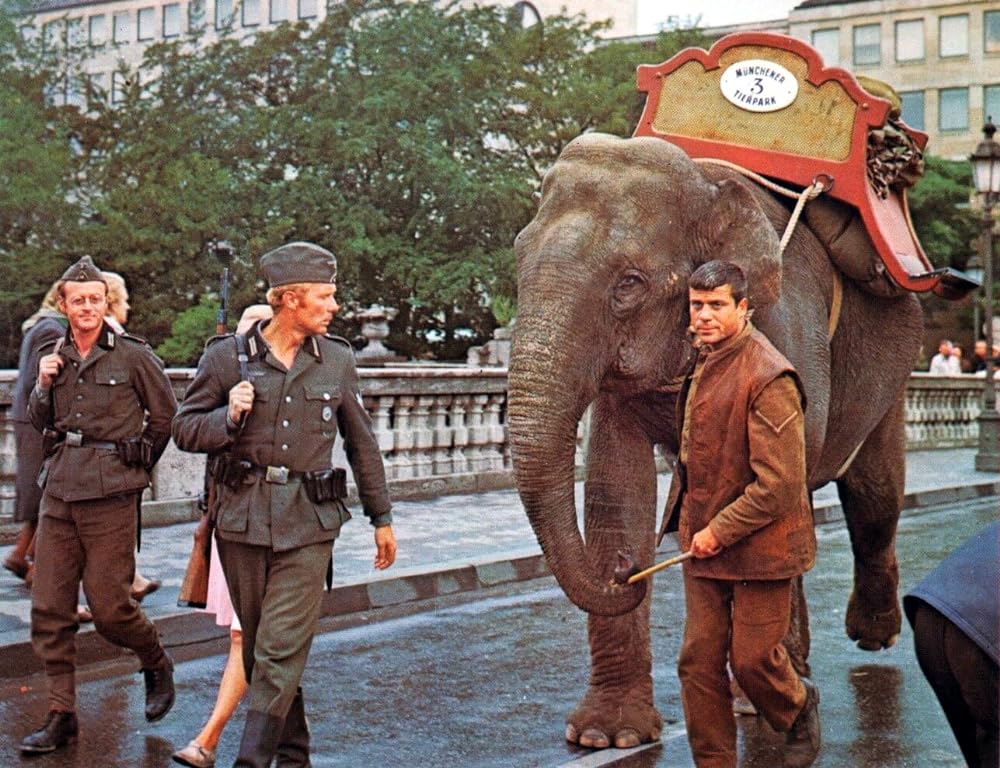 脱走山脈の画像