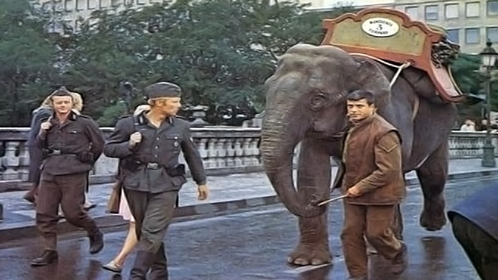 脱走山脈の画像