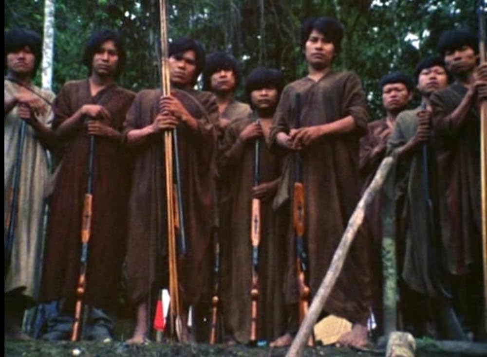 Burden of Dreams（原題）の画像