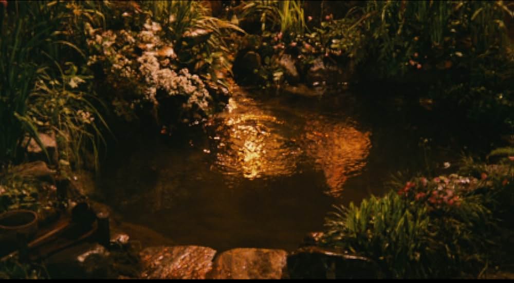 夜叉ヶ池 4Kデジタルリマスター版の画像