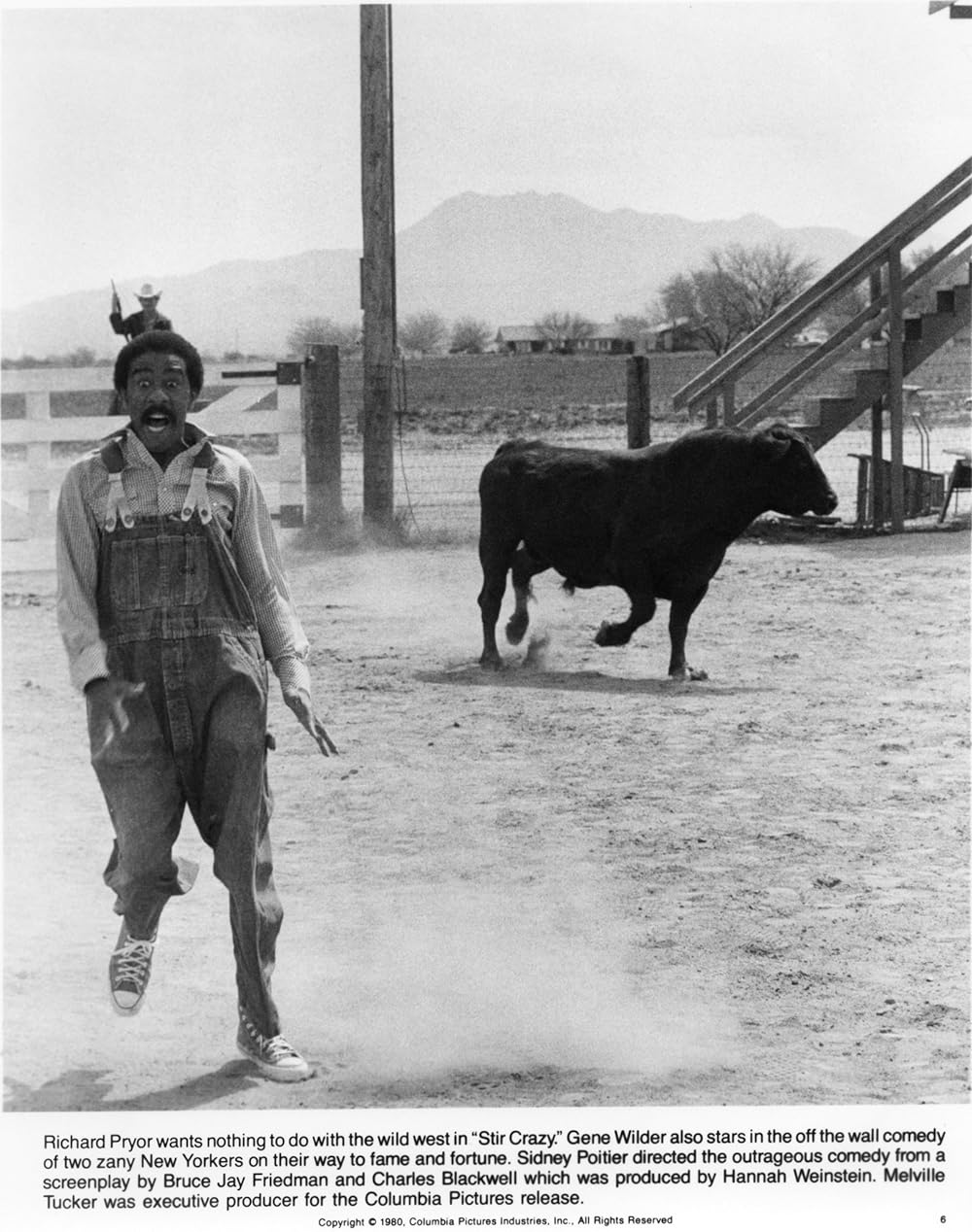 スター・クレイジーの画像