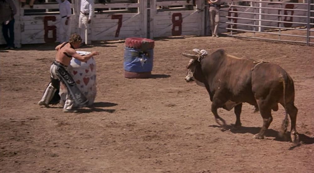 スター・クレイジーの画像