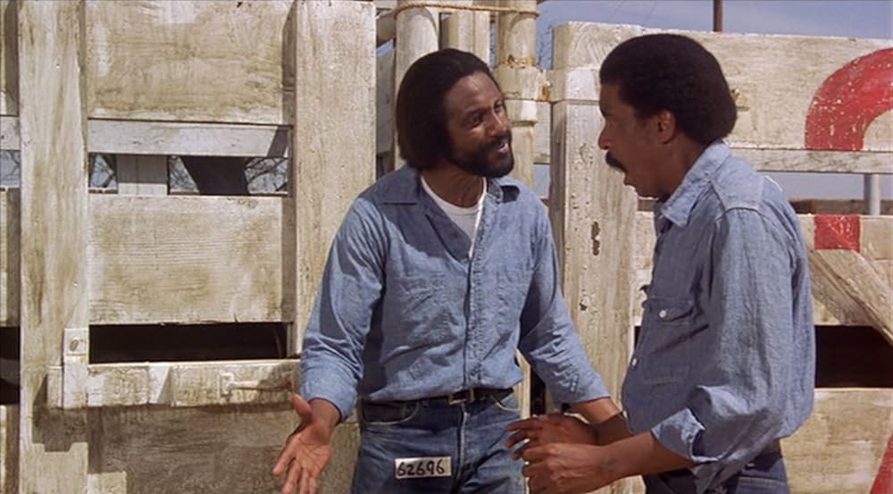 スター・クレイジーの画像