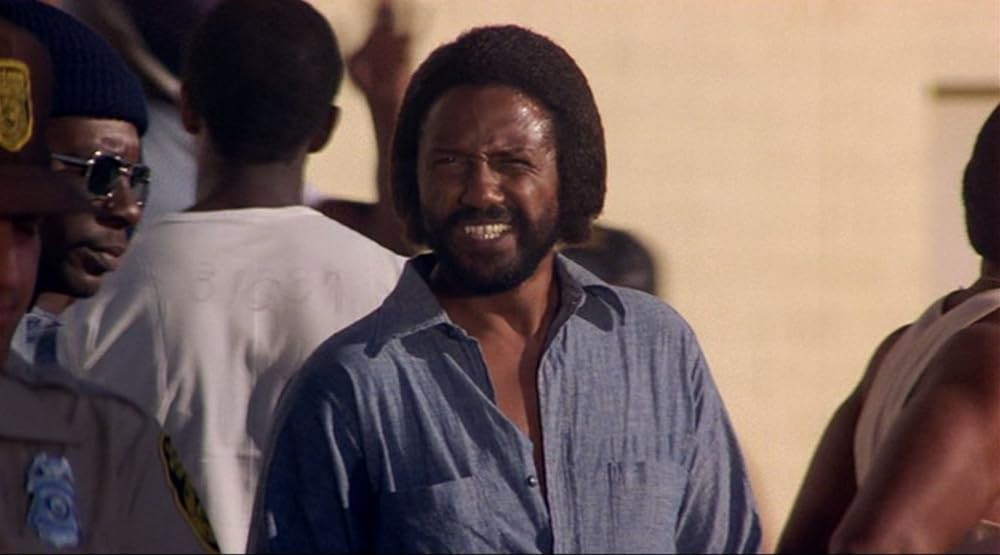 スター・クレイジーの画像