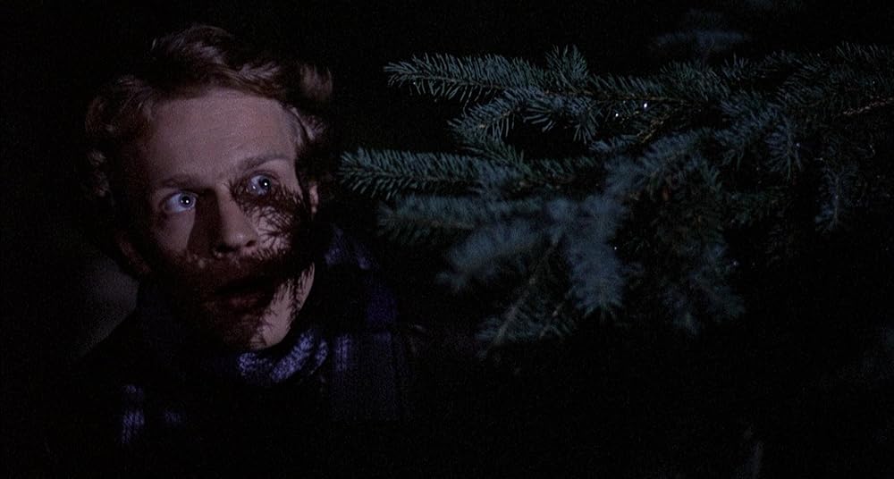 誕生日はもう来ないの画像