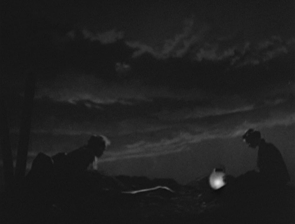 わが青春に悔なしの画像