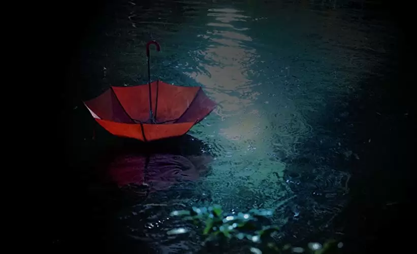 ユリゴコロの画像