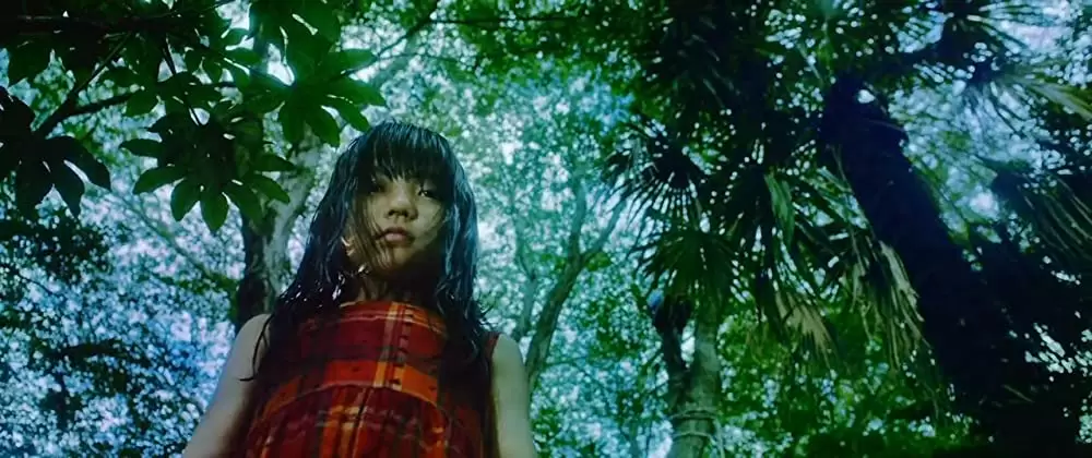 ユリゴコロの画像