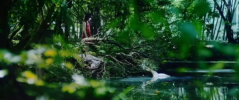 ユリゴコロの画像