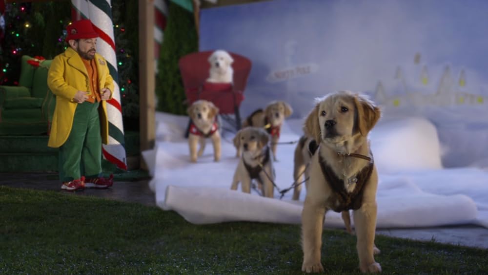 サンタ・バディーズ 小さな5匹の大冒険の画像