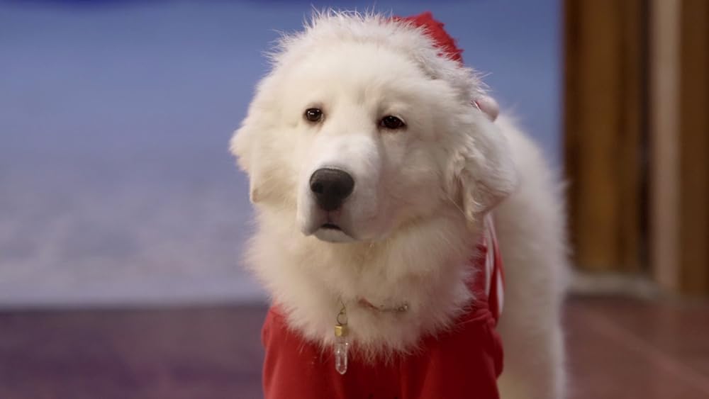 サンタ・バディーズ 小さな5匹の大冒険の画像