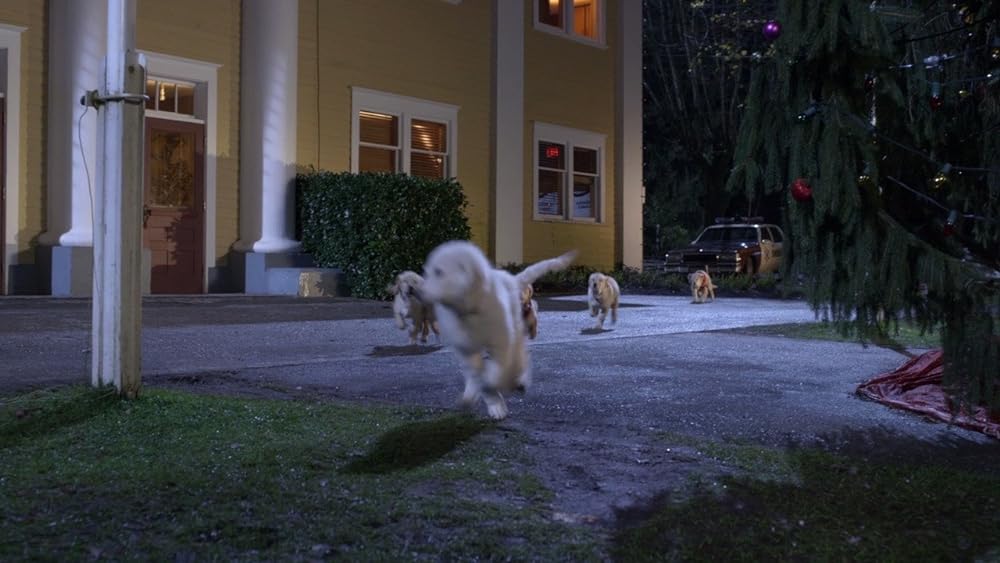 サンタ・バディーズ 小さな5匹の大冒険の画像