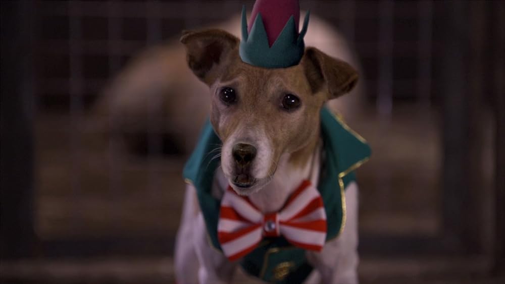 サンタ・バディーズ 小さな5匹の大冒険の画像