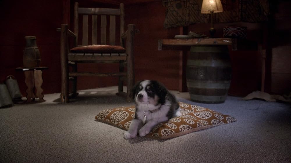 サンタ・バディーズ 小さな5匹の大冒険の画像