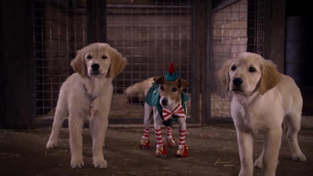 サンタ・バディーズ 小さな5匹の大冒険の画像