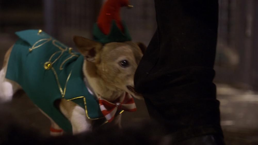 サンタ・バディーズ 小さな5匹の大冒険の画像