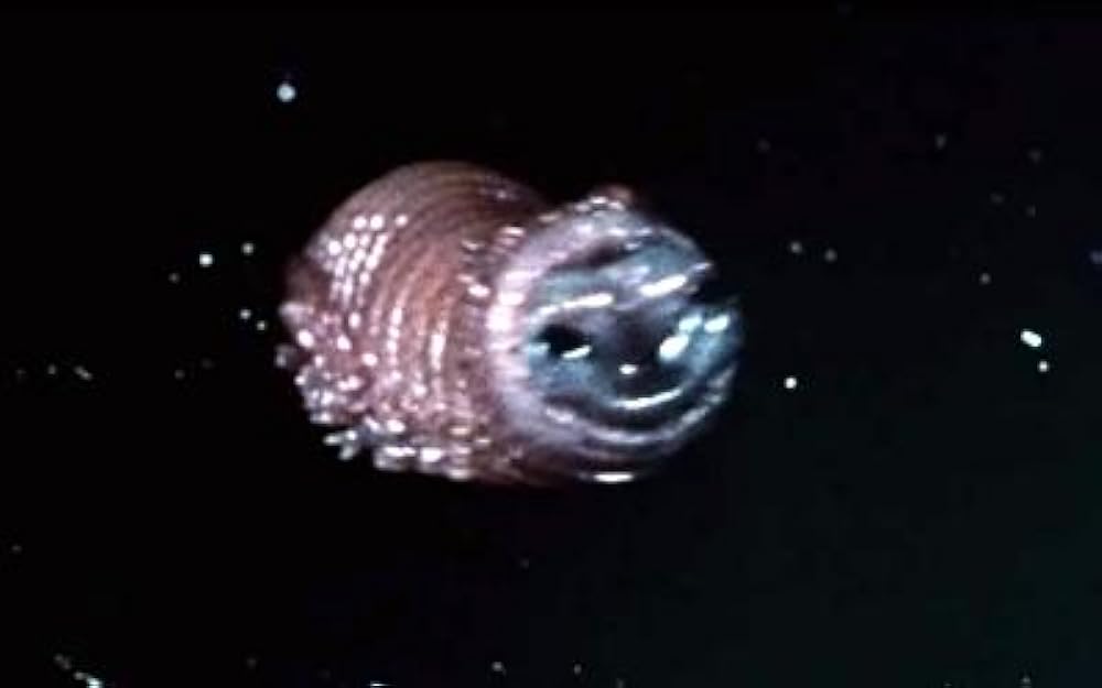 スクワームの画像