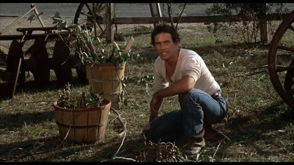 スクワームの画像