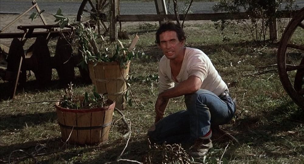 スクワームの画像