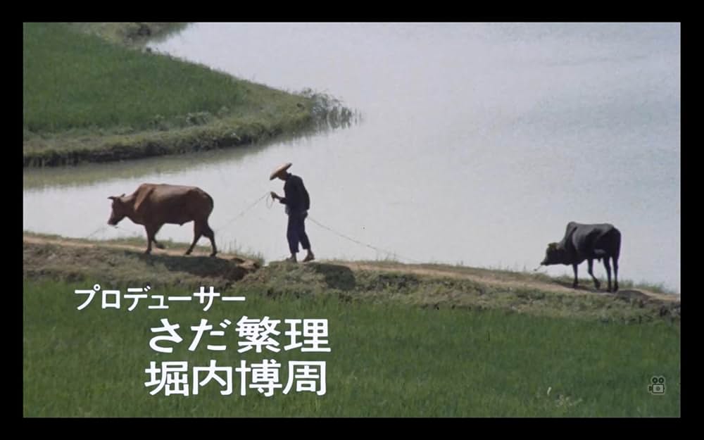 「長江」の画像