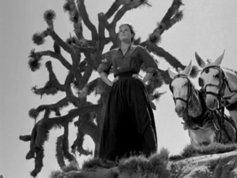 女群西部へ！の画像